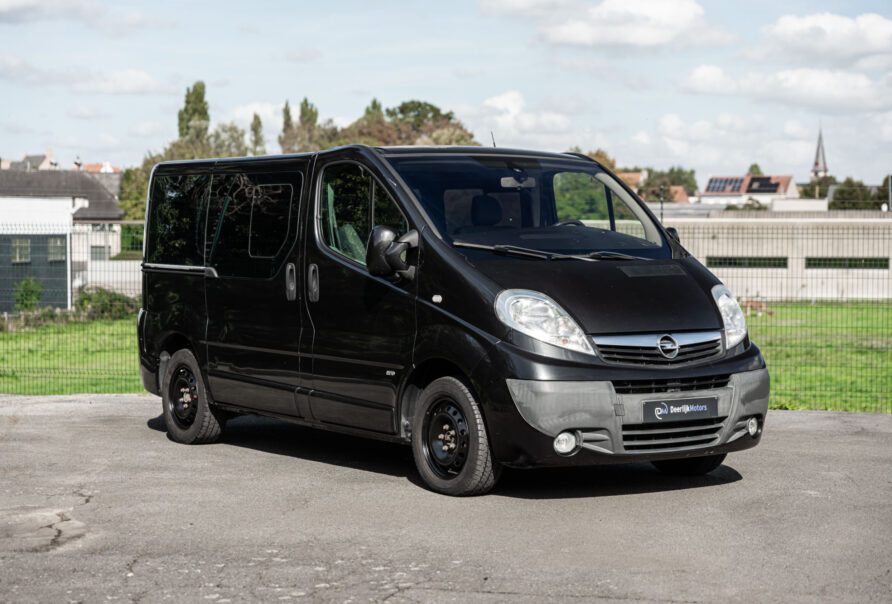 Vivaro 2.5 CDTi Westfalia MINI camper Webasto verwarming slaapbank