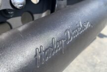 HARLEY DAVIDSON SPORTSTER 883 BROWNSEAT CUSTOM18