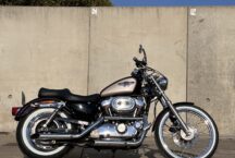Harley Davidson Sportster 95th Anniversary 1 of 3000 - foto 1