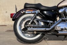 Harley Davidson Sportster 95th Anniversary 1 of 3000 - foto 5