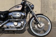 Harley Davidson Sportster 95th Anniversary 1 of 3000 - foto 6