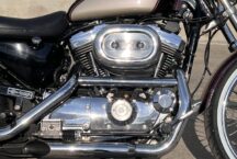 Harley Davidson Sportster 95th Anniversary 1 of 3000 - foto 7