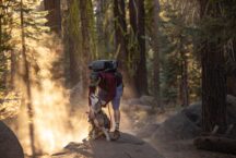 Stephen leonardi 9 NJWU7 WB2 HI unsplash