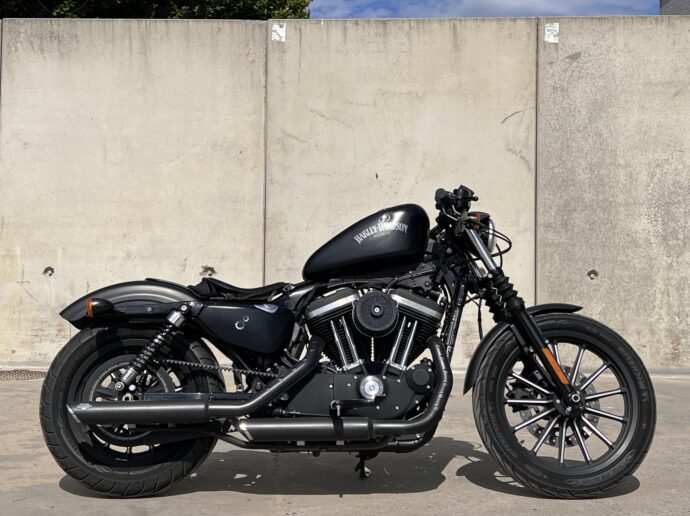 Harely Davidson Sportster Iron Custom Peanut Tank