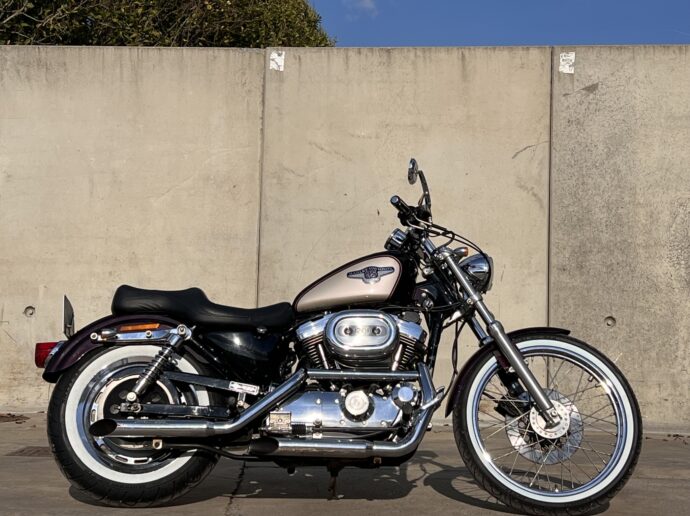 Harley Davidson Sportster 95th Anniversary 1 of 3000